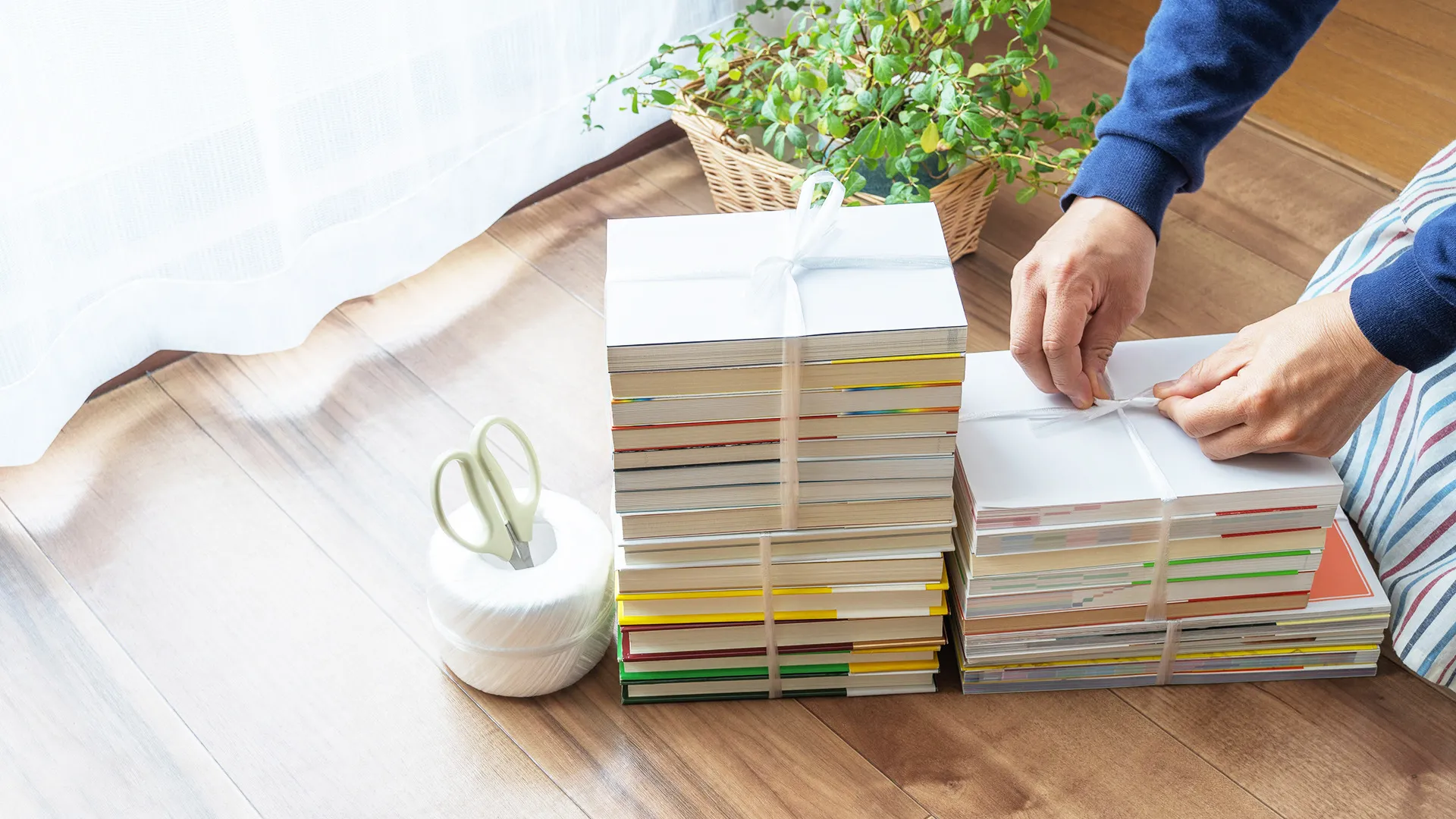 山王トレーディング